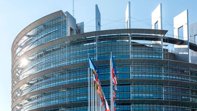 Euroopan unionin jäsenmaiden liput liehuvat Euroopan parlamentin edessä Strasbourgissa. Kuva: Mostphotos.